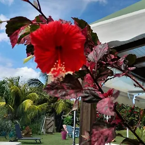 https://zen-paradise.comcaribbean.com