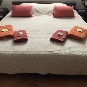 https://le-bel-instant-les-pieds-dans-leau-face-au-lagon.comcaribbean.com